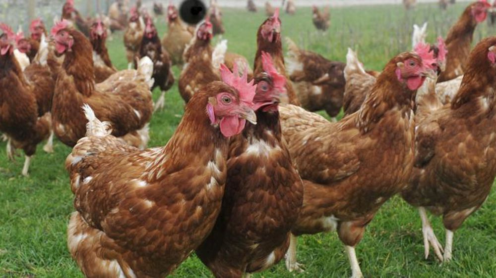 © Cédric Faimali/GFA