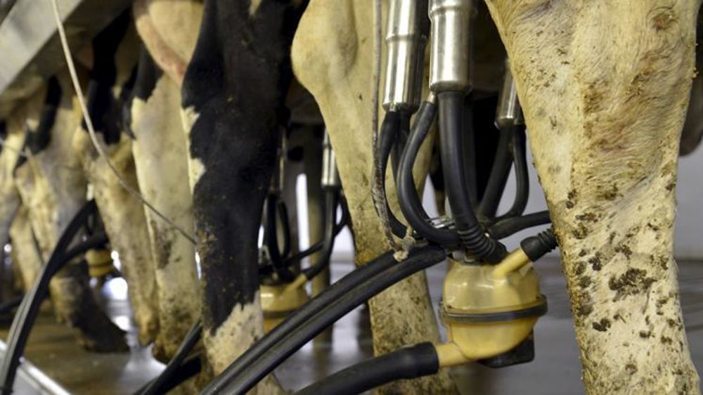 © Cédric Faimali/GFA