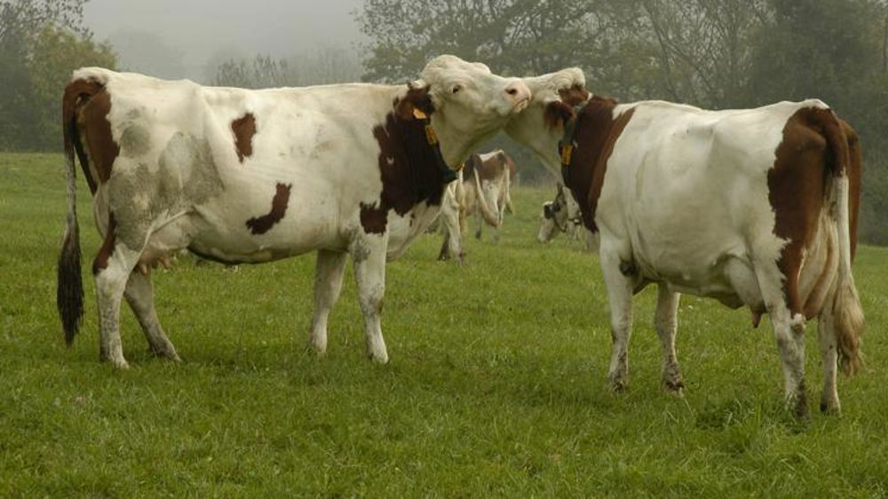 L’EMB réclame un outil de gestion de crise contraignant