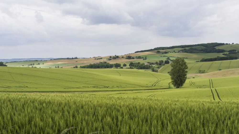 © Cédric Faimali/GFA