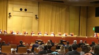 Les endiviers se défendent devant la justice européenne Les endiviers se défendent devant la justice européenne