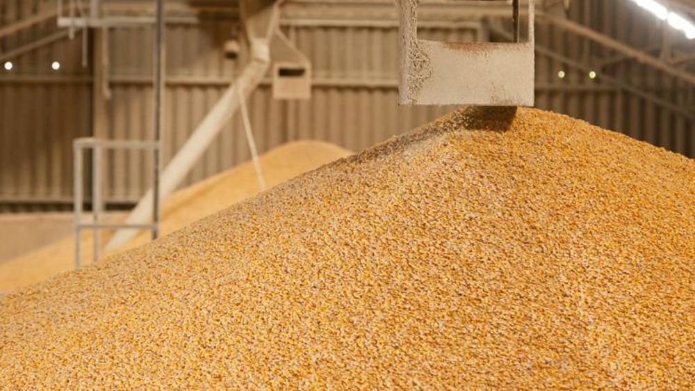 © Sébastien Champion