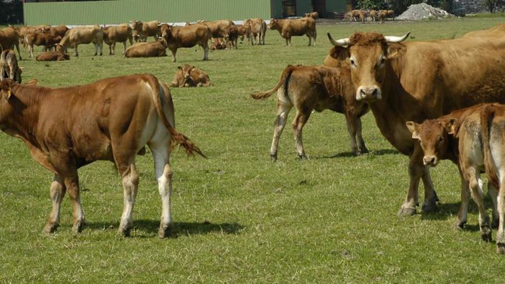 © Pascal Crapon/GFA