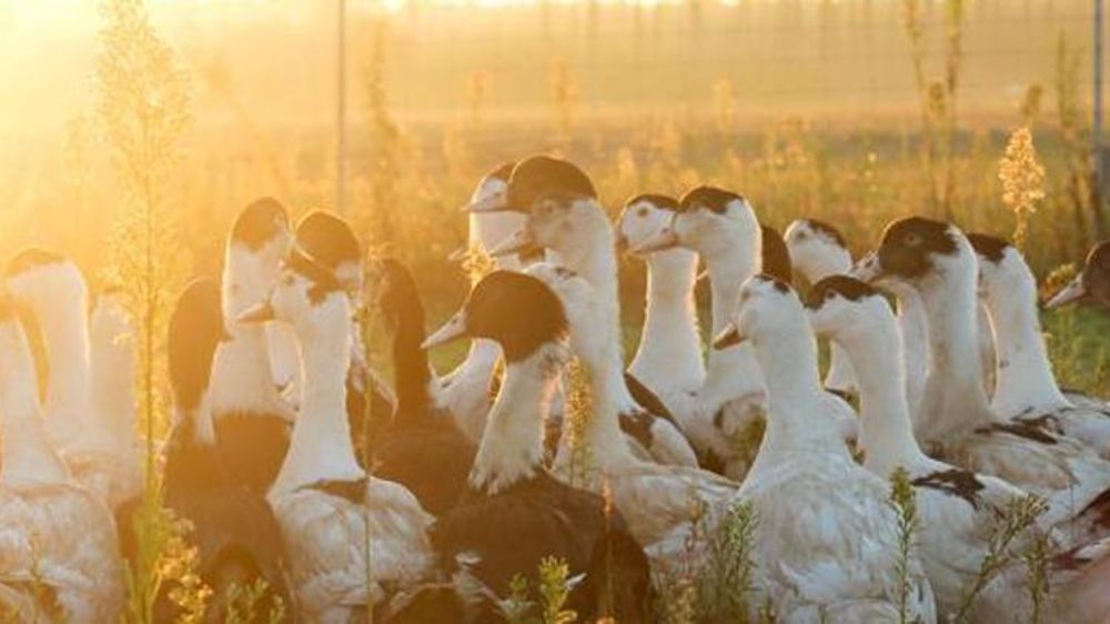 © Arielle Delest/GFA