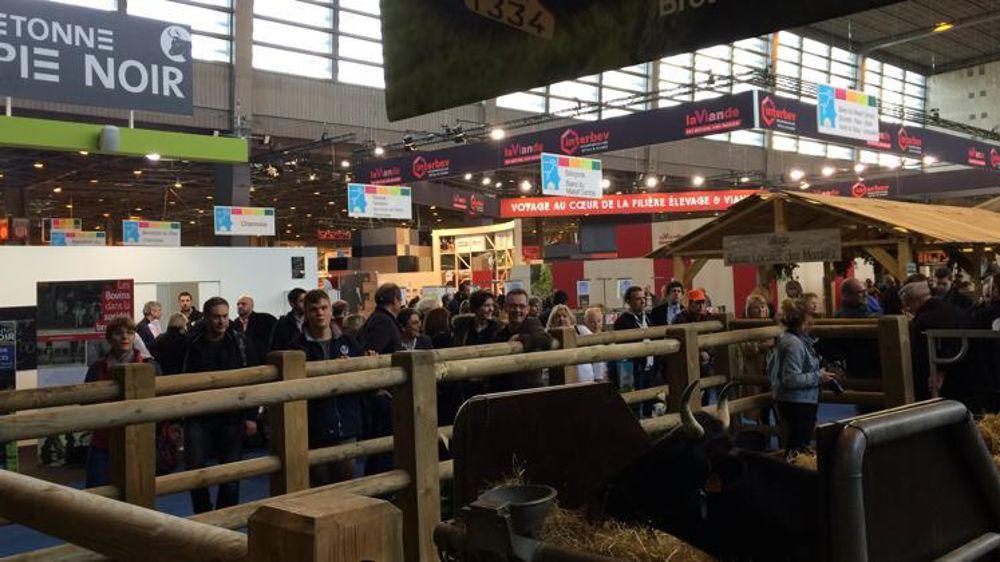 © E. Casalegno/GFA