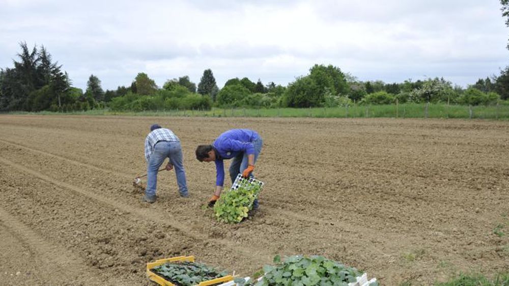 © Cédric Faimali/GFA