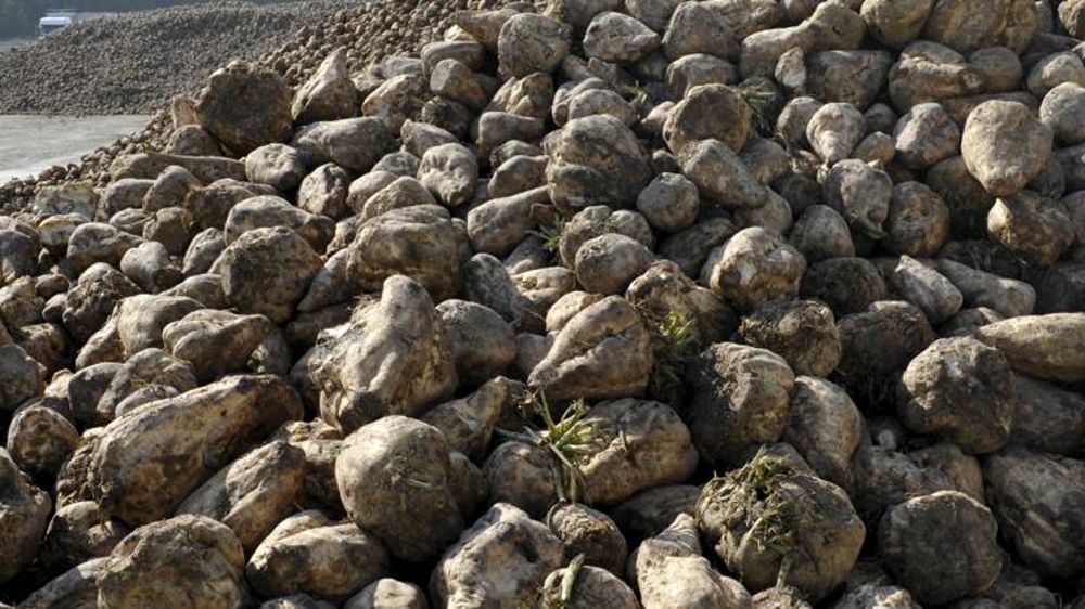 Les prix européens vont s’aligner sur les prix mondiaux