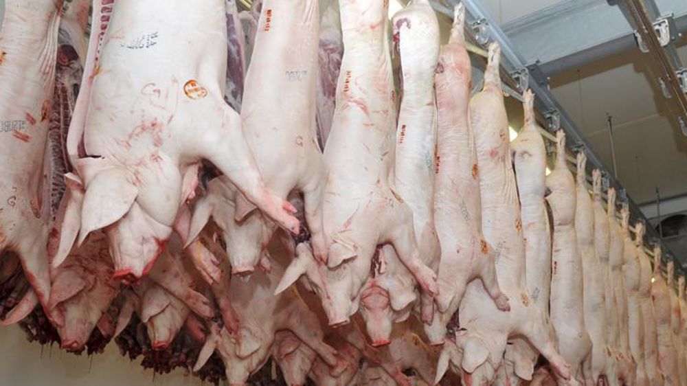 © Cédric Faimali/GFA