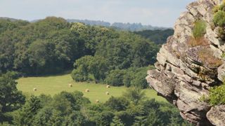 Le paysage sensible de la Suisse normande connaît par endroits un enfrichement en raison du manque d’exploitations agricoles comme ici sur le site touristique de la Roche d’Oëtre. Le problème pourrait s’amplifier avec une baisse des soutiens aux exploitations concernées. © Alexis Dufumier Le paysage sensible de la Suisse normande connaît par endroits un enfrichement en raison du manque d’exploitations agricoles comme ici sur le site touristique de la Roche d’Oëtre. Le problème pourrait s’amplifier avec une baisse des soutiens aux exploitations concernées. © Alexis Dufumier