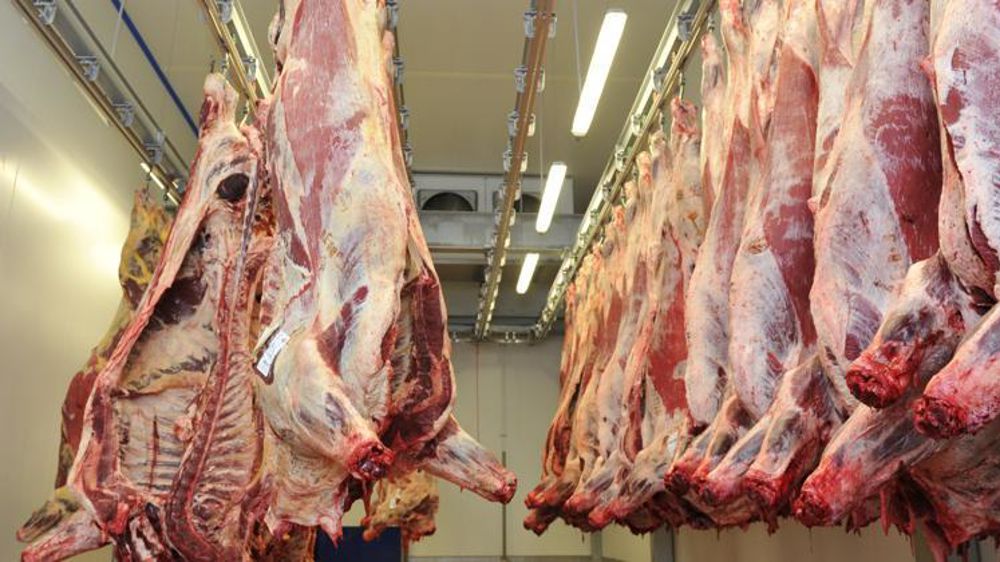 © Cédric Faimali/GFA