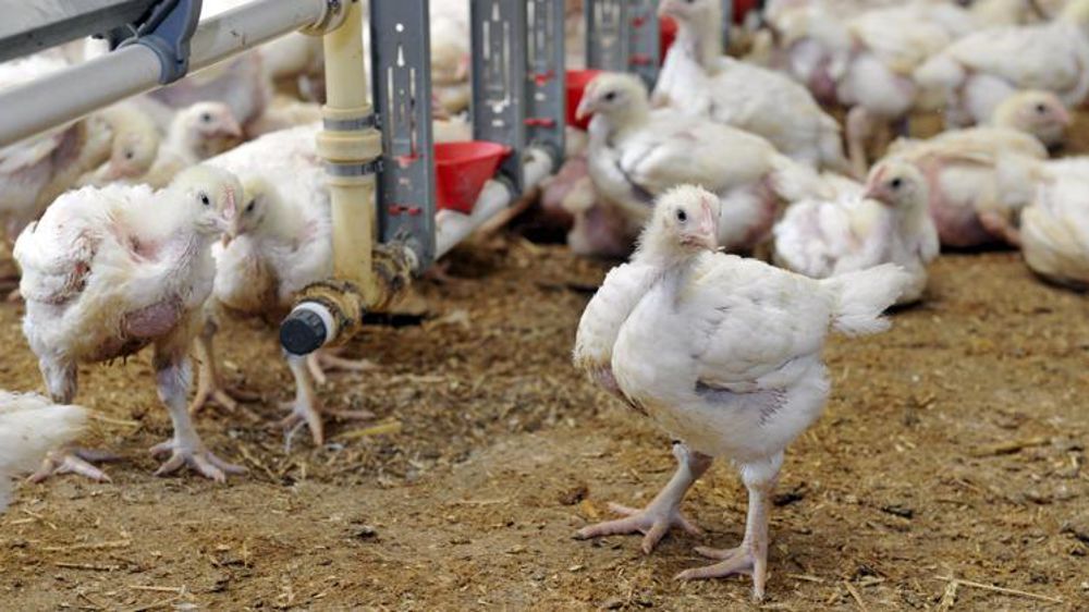 © Cédric Faimal/GFA