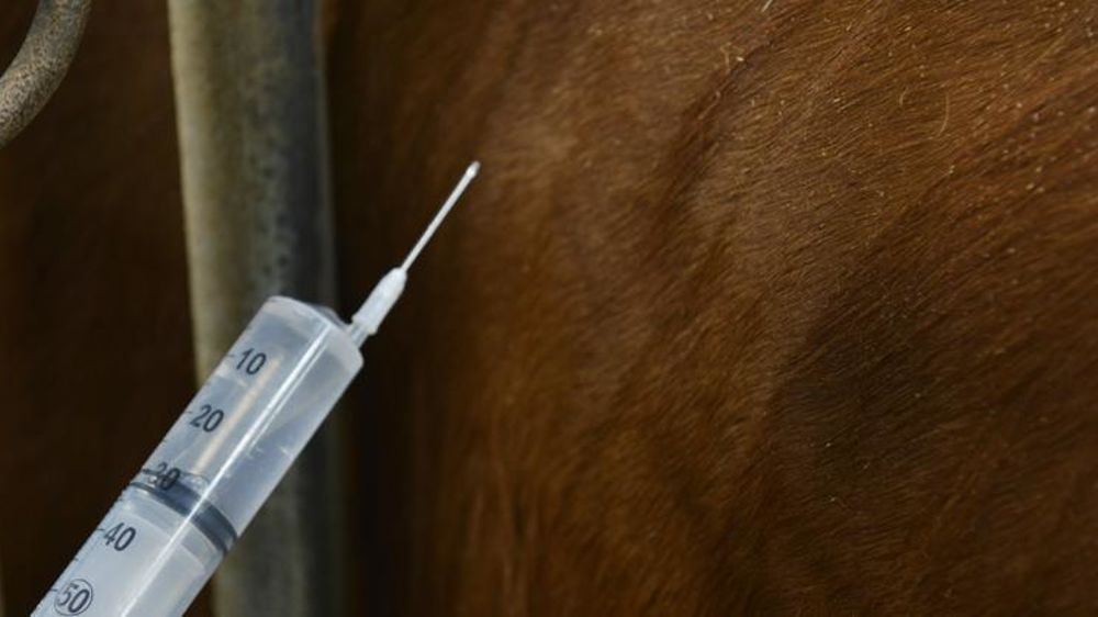 © Cédric Faimali/GFA