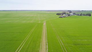Les producteurs de blé s’inquiètent du manque d’eau Les producteurs de blé s’inquiètent du manque d’eau
