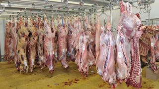 Le ministère travaille sur les dons de viande peu transformée. © C. Faimali/GFA Le ministère travaille sur les dons de viande peu transformée. © C. Faimali/GFA