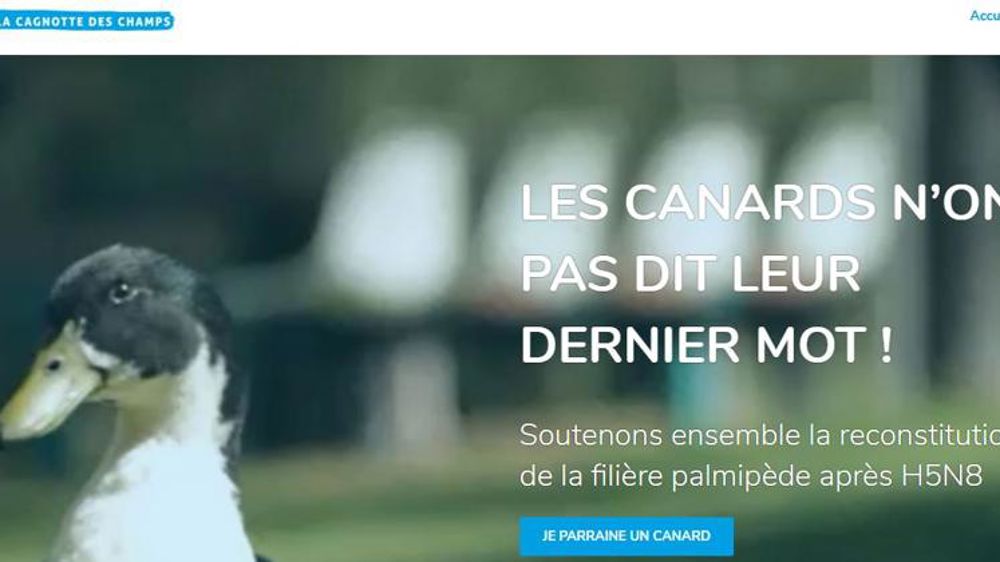 Le financement participatif au secours des éleveurs