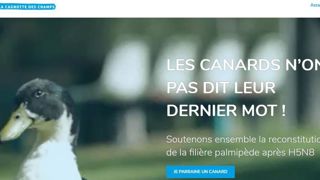 Le financement participatif au secours des éleveurs Le financement participatif au secours des éleveurs