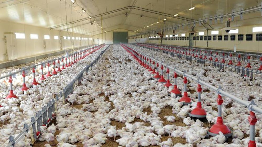 © Cédric Faimali/GFA