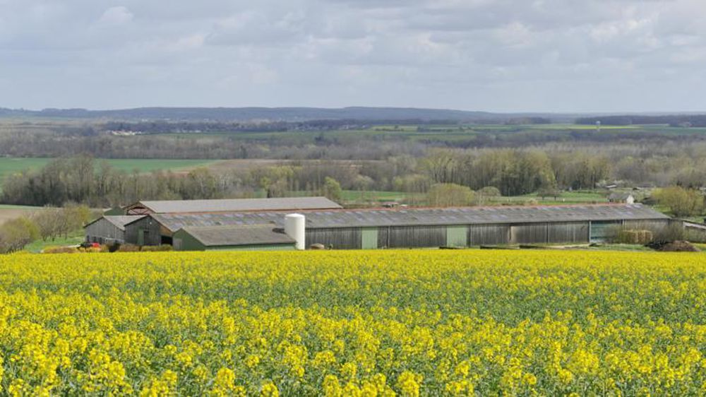 © Cédric Faimali/GFA