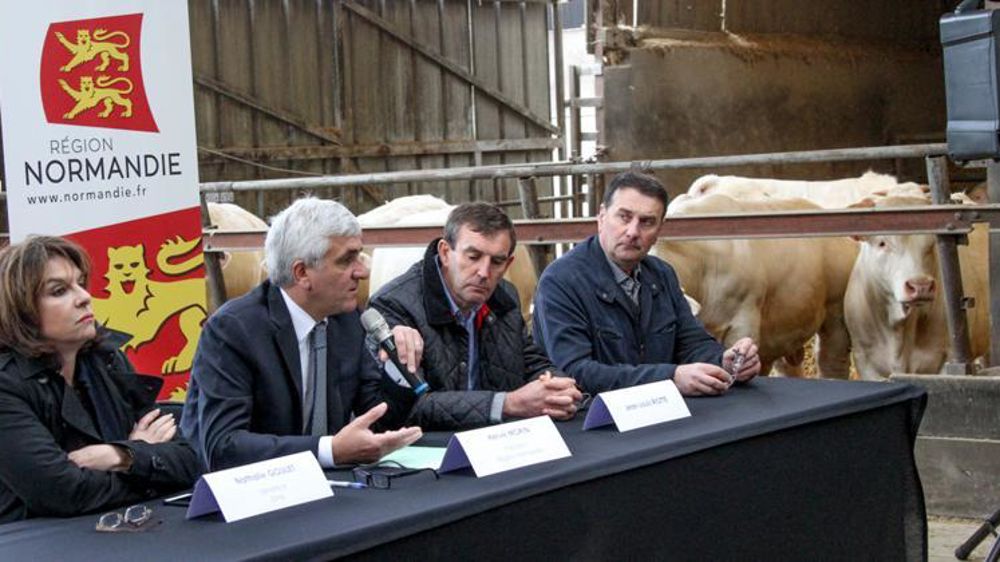De gauche à droite, Nathalie Goulet, sénatrice de l’Orne, Hervé Morin, président de région Normandie, Jean-Louis Riotte, exportateur de bovins, et Daniel Génissel, président de la chambre d’agriculture de Normandie, le 4 mai au sein de l’atelier d’engraissement du Gaec Génissel. © A. Dufumier