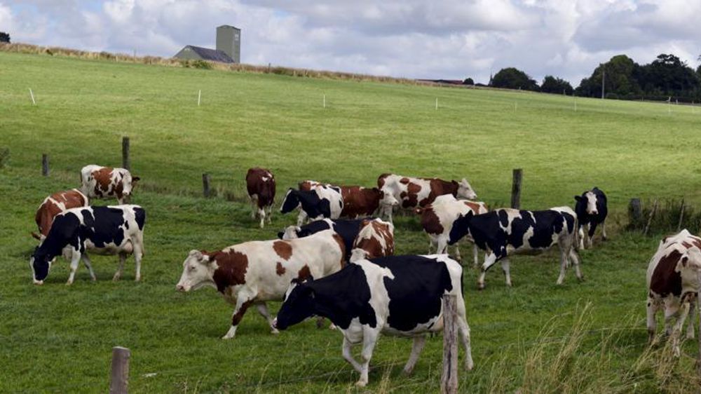 © Cédric Faimali/GFA