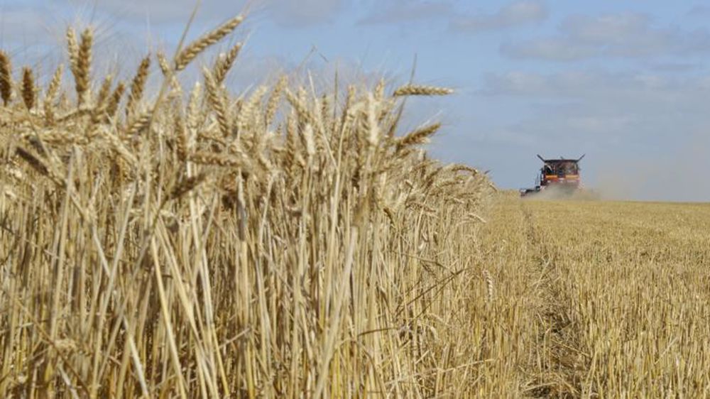 © Cédric Faimali/GFA