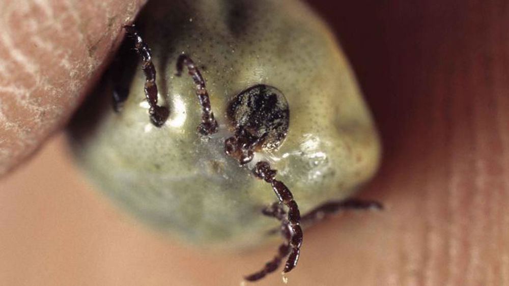 Participer à la surveillance des tiques