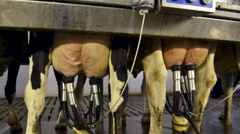 © Cédric Faimali/GFA