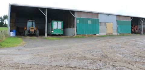 Le hangar abrite le matériel, la paille et quelques truies gestantes. © I. Lejas