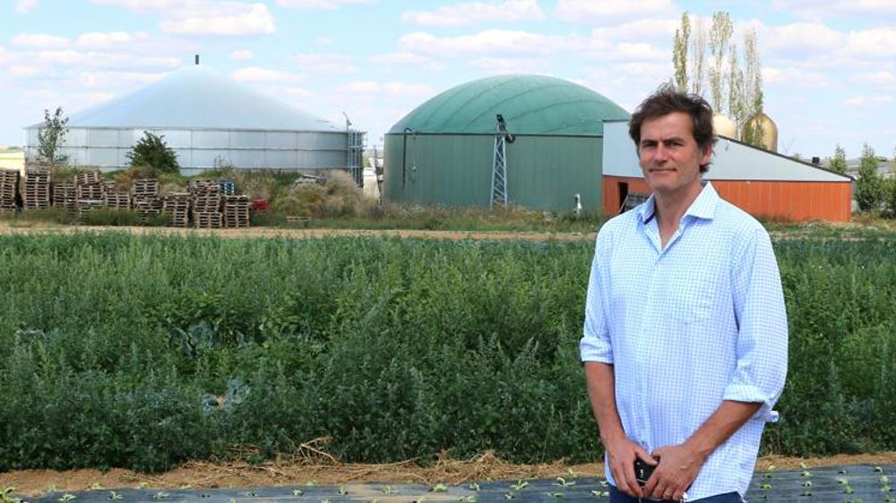 Associer porcs, méthanisation et fraises