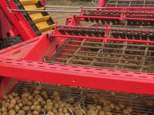Hausse généralisée de la production de pommes de terre.