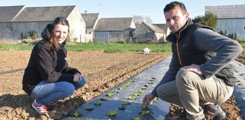 Adeline et son frère Guillaume vendent leurs légumes à 90 % en circuits courts. © Aude Richard