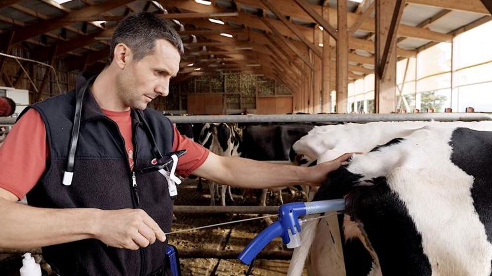 L’insémination sans fouille