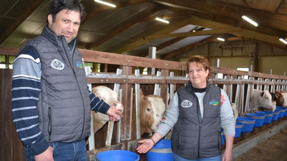Du veau sur paille de haut de gamme