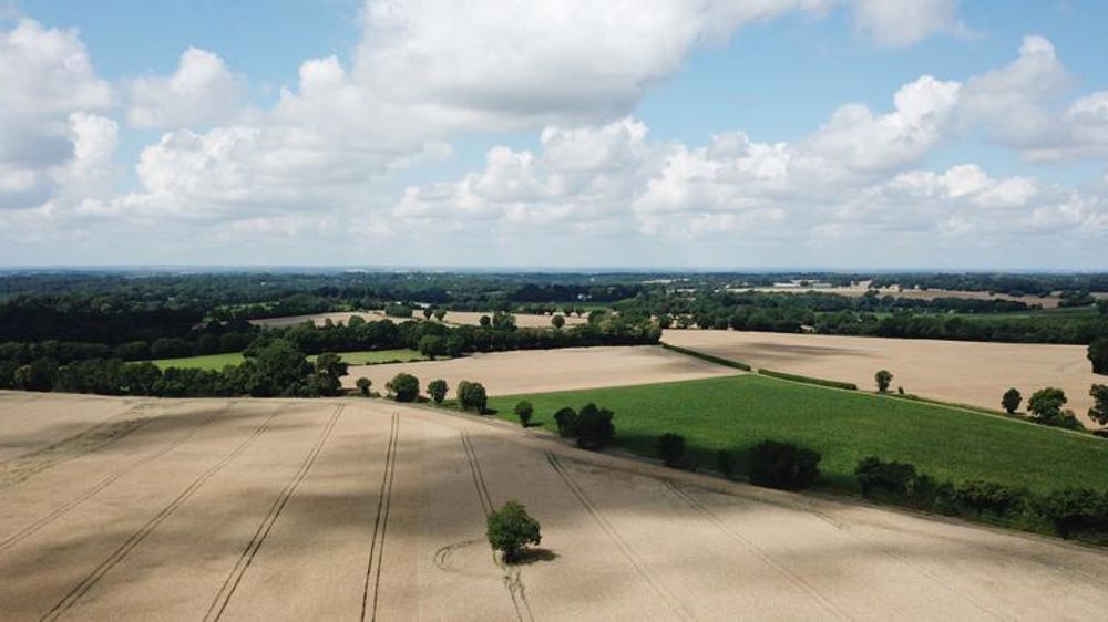 De grands écarts sur le prix des terres et les fermages dans l’Union européenne