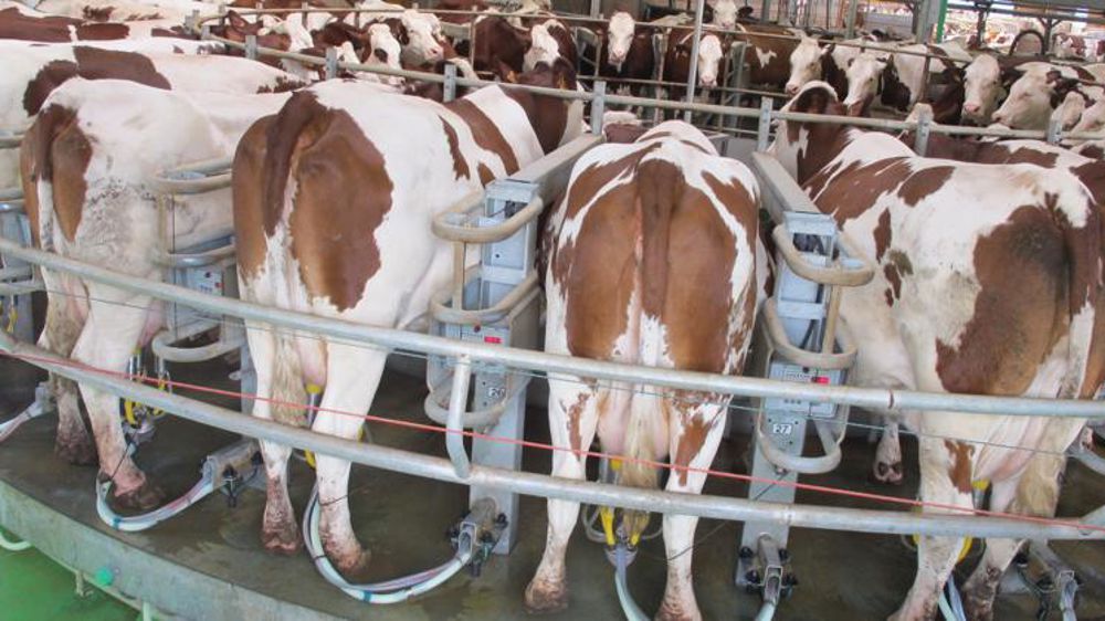 Le prix du lait se stabilise à 356 €/1 000 litres