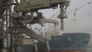 L’euro soutient les prix du blé et du colza L’euro soutient les prix du blé et du colza
