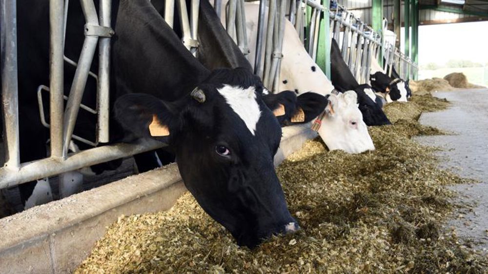 Un début d’année 2020 dans le rouge