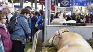 Retour sur un Salon de l’agriculture au goût d’inachevé Retour sur un Salon de l’agriculture au goût d’inachevé