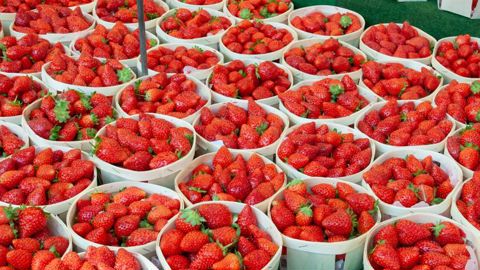 Les filières de la fraise et de l’asperge en difficulté