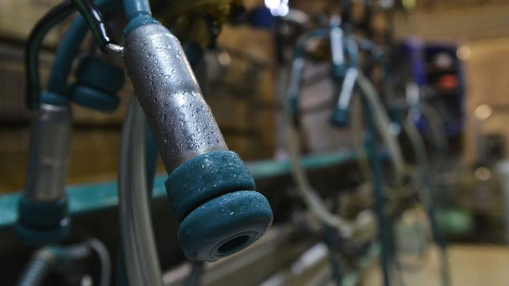 La filière traverse une zone de « turbulences »