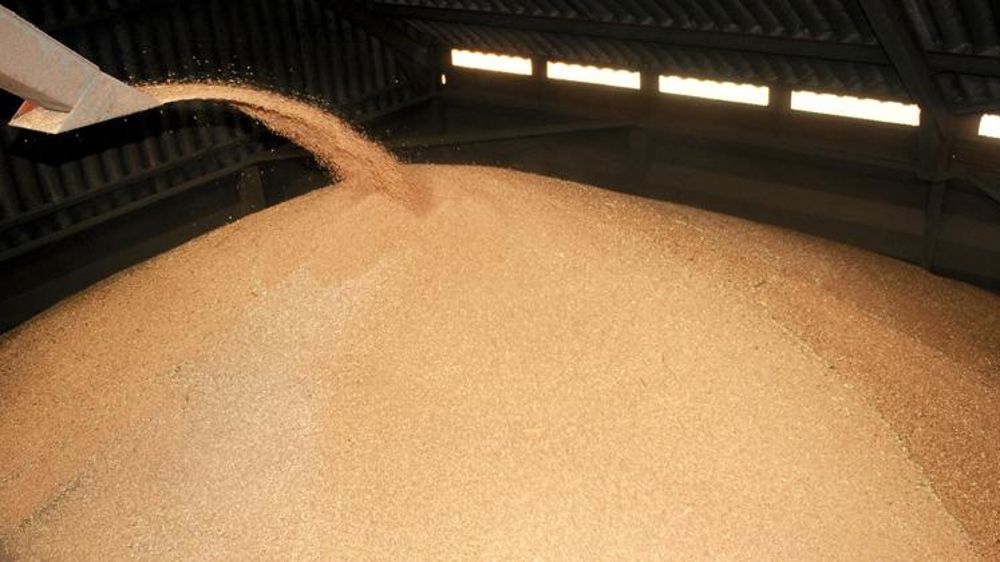 Les stocks mondiaux de blé et de maïs revus à la hausse