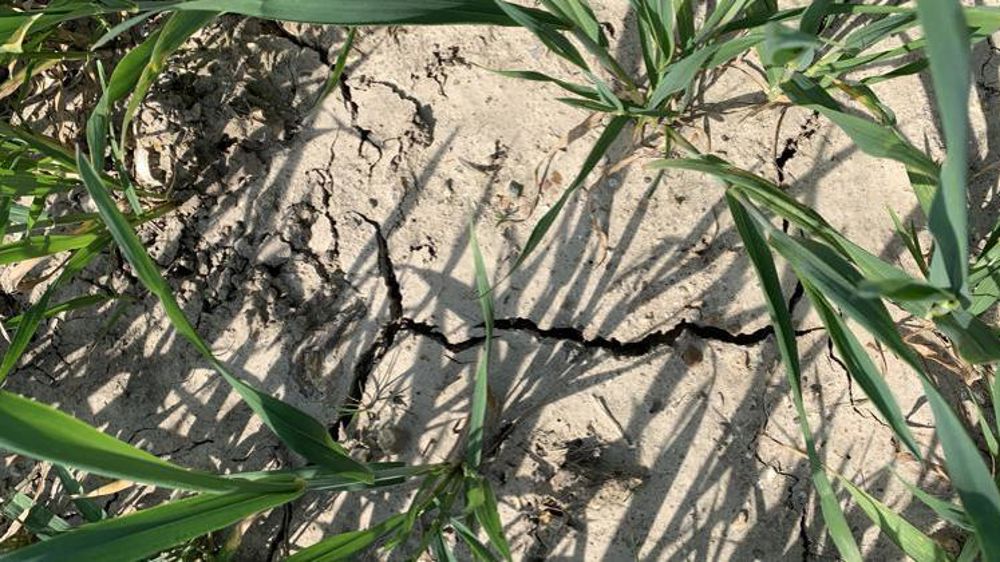 La sécheresse menace l’est de la France