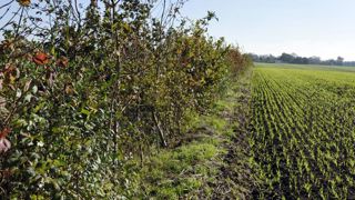 Des paiements pour services environnementaux dès avril 2021 Des paiements pour services environnementaux dès avril 2021