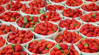 Le repli des importations sauve la fraise française Le repli des importations sauve la fraise française