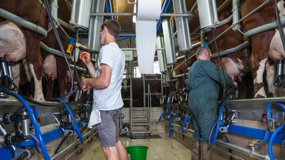 Les associés d’un Gaec pourront demander l’aide