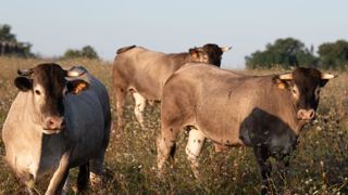 Une sanction allégée pour les non-conformités détectées tardivement Une sanction allégée pour les non-conformités détectées tardivement