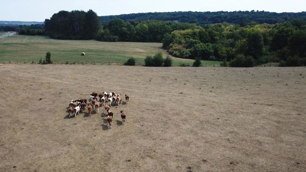 Les syndicats veulent du concret sur l’assurance climatique