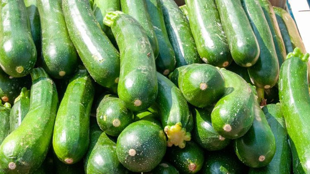 Les courgettes profitent du confinement