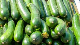 Les courgettes profitent du confinement Les courgettes profitent du confinement