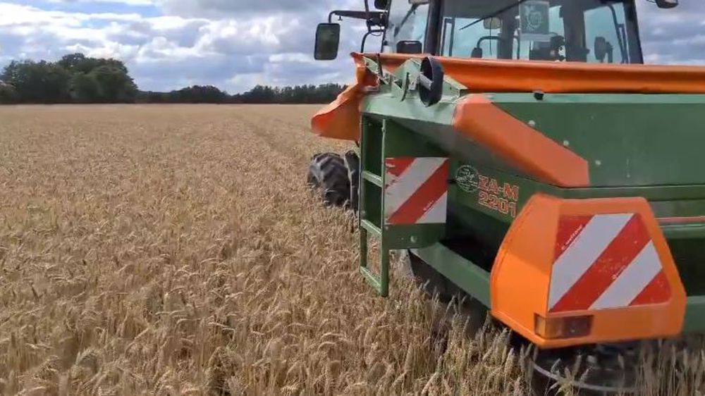 Il sème le couvert avant la moisson